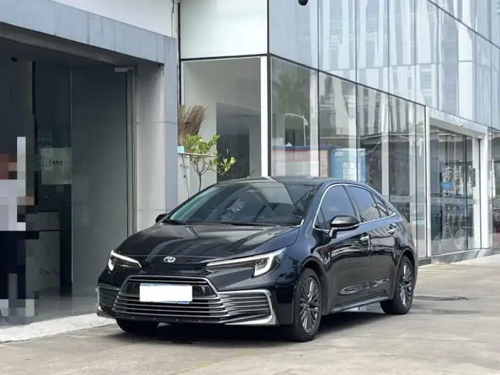 Lingshang 2024 Model 2.0L Premium Edition – фото 1