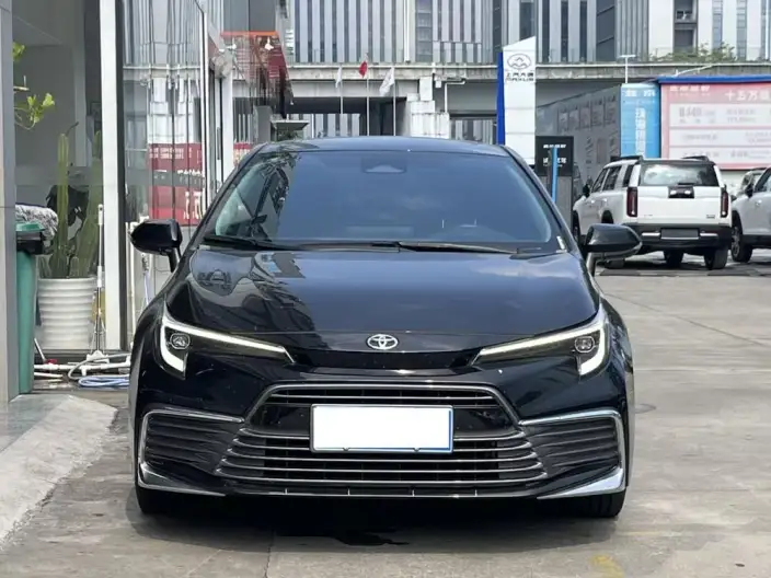 Lingshang 2024 Model 2.0L Premium Edition – фото 2
