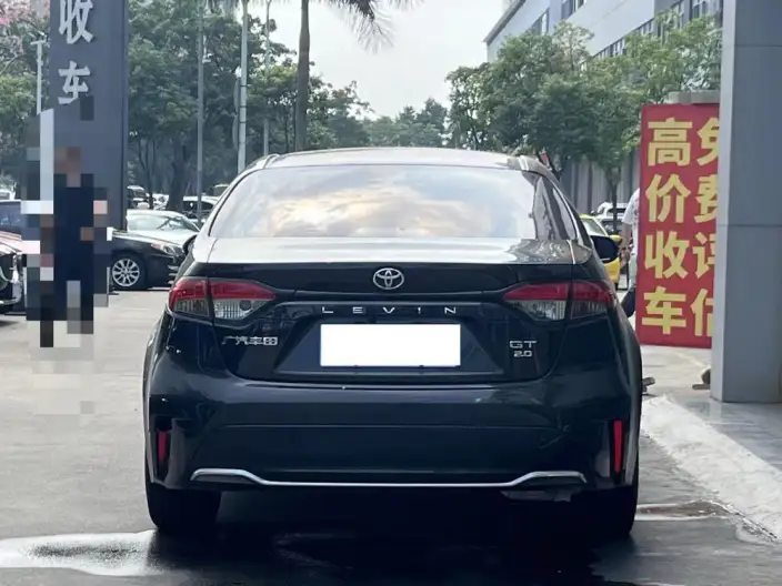Lingshang 2024 Model 2.0L Premium Edition – фото 3