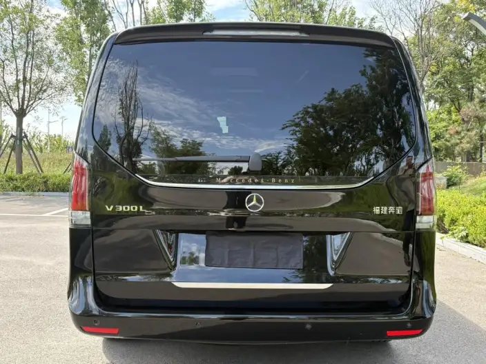 Mercedes-Benz V-Class 2024 Model V 300 L Long wheelbase Deluxe Edition – фото 5