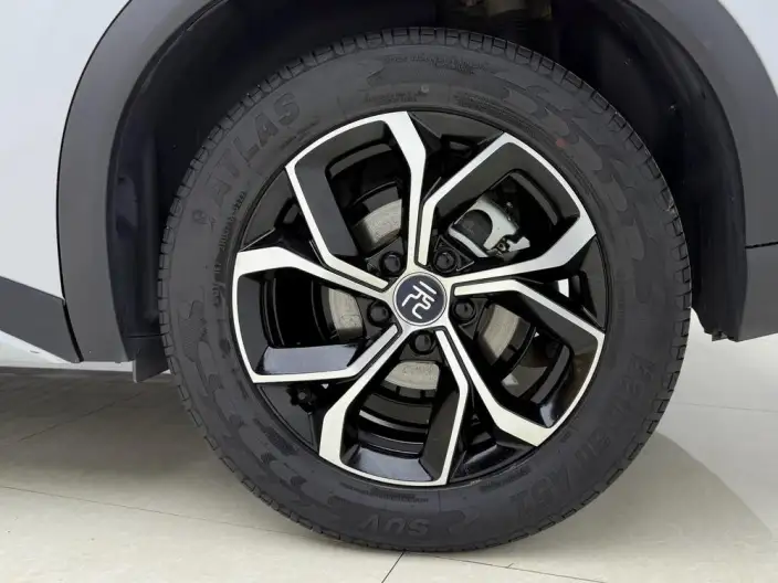 BYD Yuan PLUS 2022 Model 430KM Noble Model – фото 9