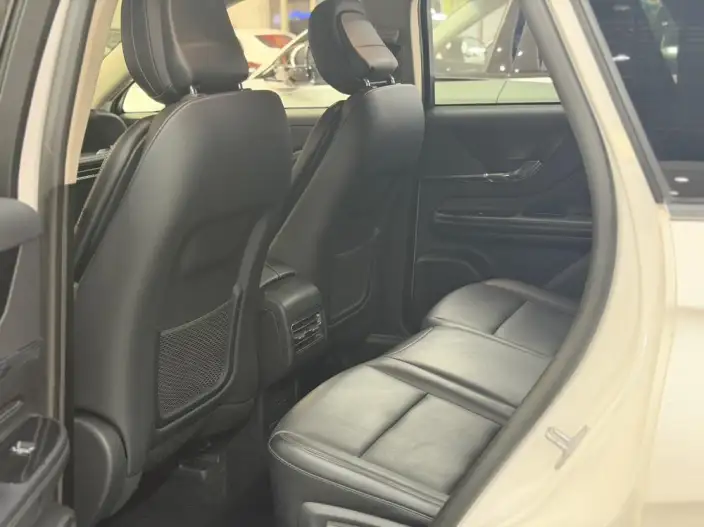 Lincoln Corsair 2024 Model 2.0T 2WD Exclusive Edition – фото 9