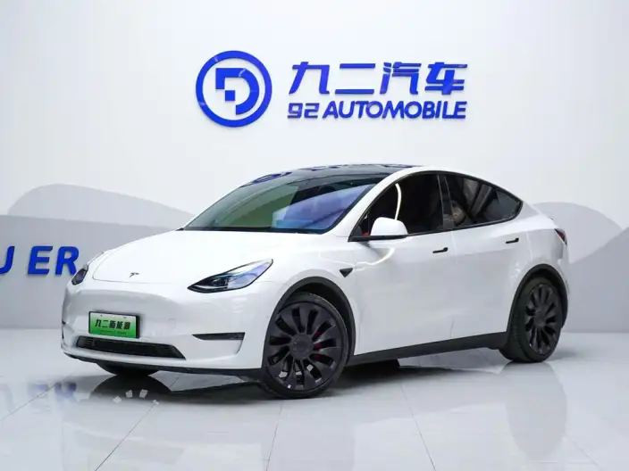 Model Y 2022 Model Performance High performance All-wheel drive version