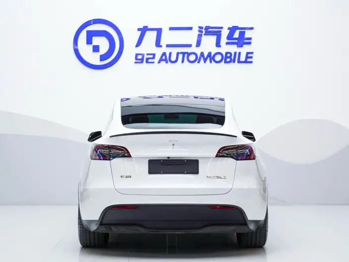 Model Y 2022 Model Performance High performance All-wheel drive version