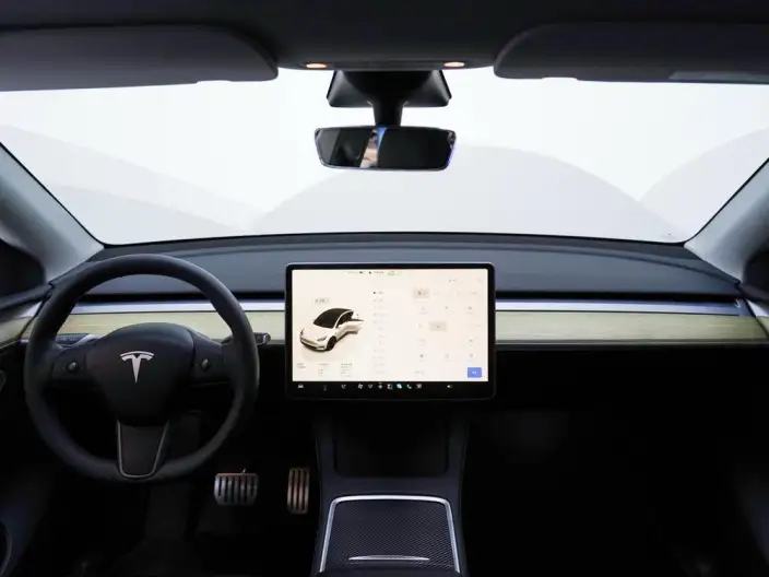 Model Y 2022 Model Performance High performance All-wheel drive version – фото 5