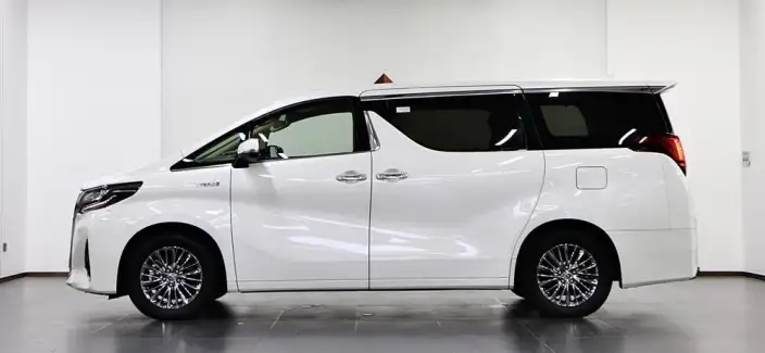 Elfa 2021 Model Hybrid 2.5L Deluxe Edition