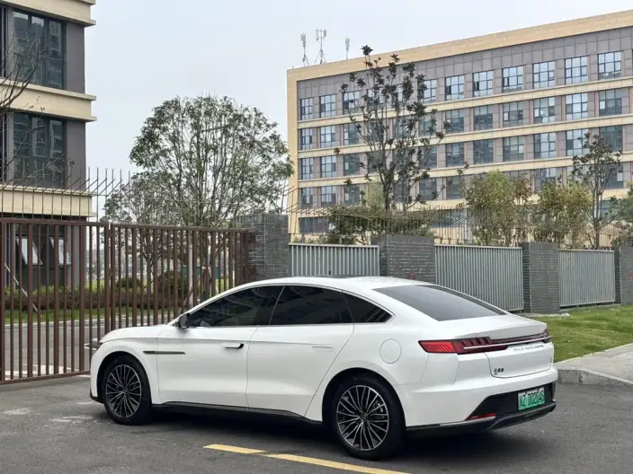 BYD Han EV 2020 Model Ultra-long Endurance Noble Model – фото 5