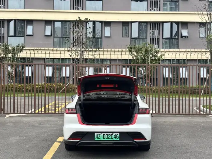 BYD Han EV 2020 Model Ultra-long Endurance Noble Model – фото 9