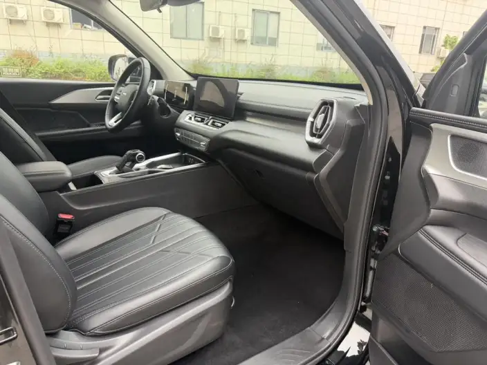 Haval H5 2025 Model 2.0T Petrol Pilot Automatic 4WD – фото 6