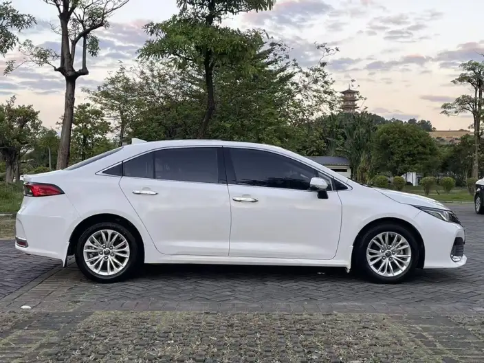 Asia Lion 2022 Model 2.0L Elite Edition – фото 8