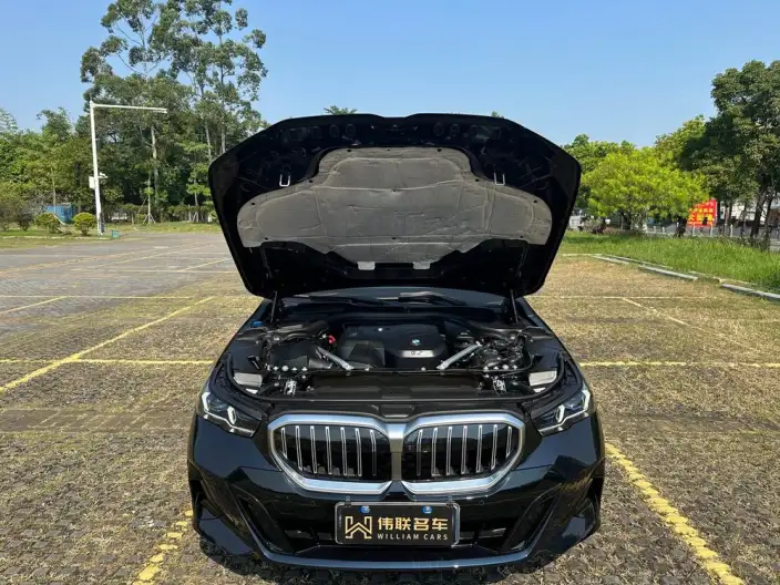 BMW 5 Series 2025 Model 530Li Exclusive Model M Sports Set – фото 9
