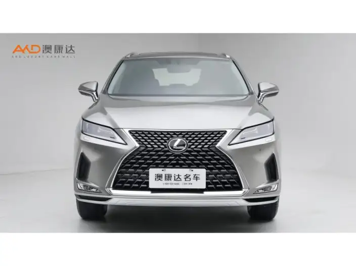 Lexus RX 2020 Model Facelift 300 2WD Elite Edition