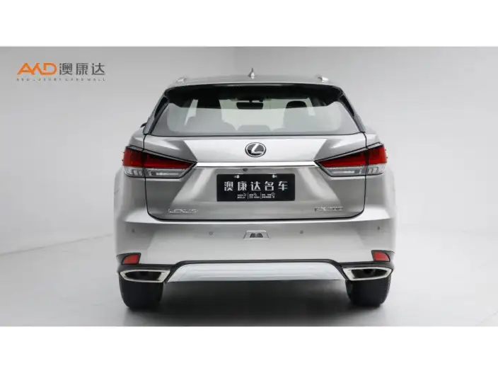Lexus RX 2020 Model Facelift 300 2WD Elite Edition