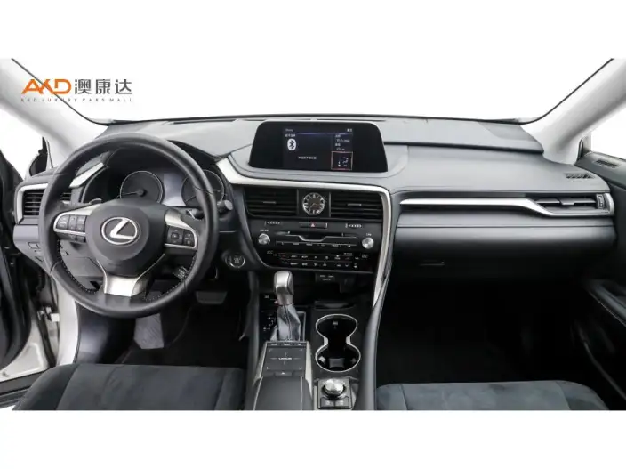Lexus RX 2020 Model Facelift 300 2WD Elite Edition – фото 6