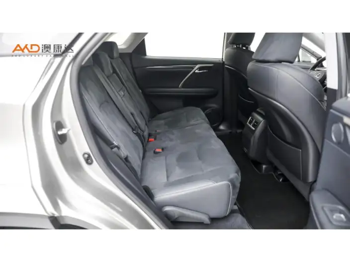 Lexus RX 2020 Model Facelift 300 2WD Elite Edition – фото 8