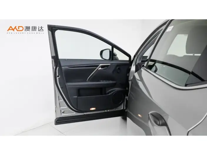 Lexus RX 2020 Model Facelift 300 2WD Elite Edition – фото 9