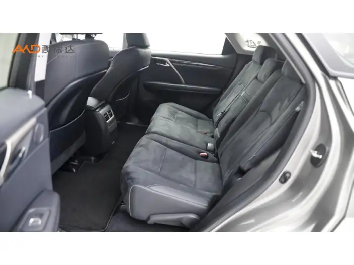 Lexus RX 2020 Model Facelift 300 2WD Elite Edition – фото 10