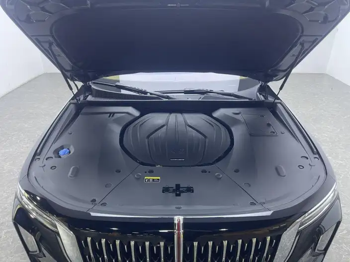 HONGQI H9 2025 Model Facelift 2.0T Flag Xiang Luxury Business Edition – фото 10