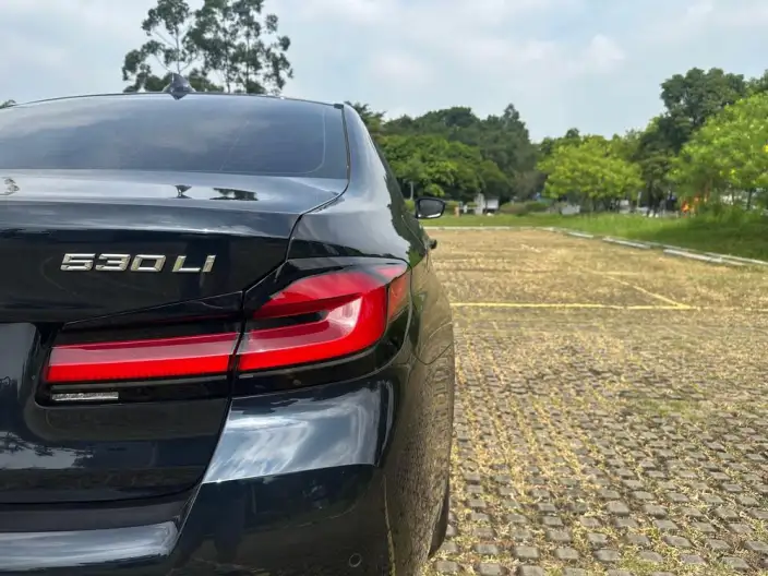 BMW 5 Series 2023 Model Facelift 530Li Leading Model M Sports Set – фото 8