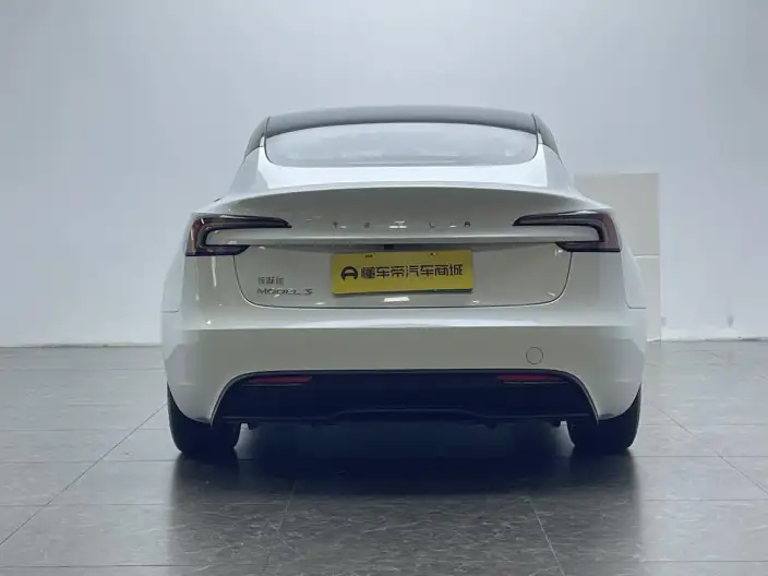 Model 3 2023 Model Rear-wheel drive version – фото 6