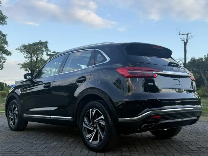 Hongqi HS5 2022 Model Facelift 2.0T Smart Flag Enjoy Edition – фото 5