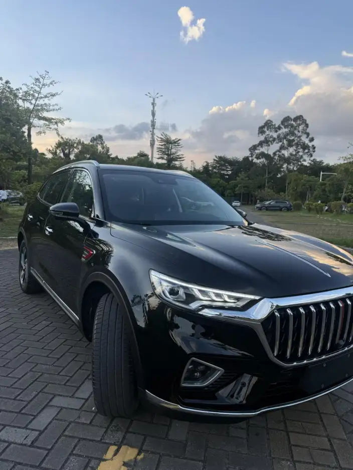 Hongqi HS5 2022 Model Facelift 2.0T Smart Flag Enjoy Edition – фото 10