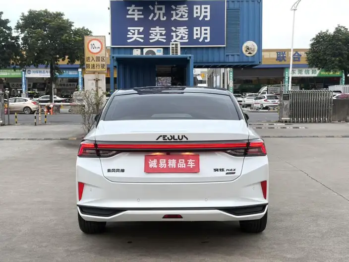 Yixuan Max 2021 Model 1.5T Super cool trendy Dad version – фото 6