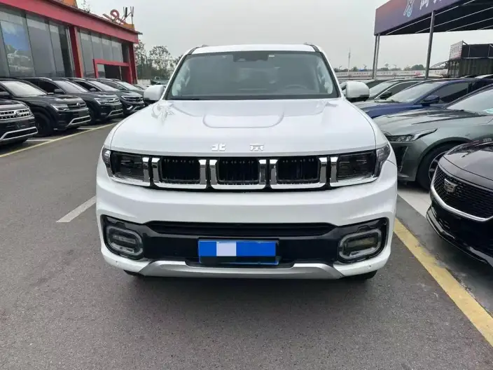 Beijing Off-Road BJ60 2022 Model 2.0T Automatic Eleventh Edition VII seat