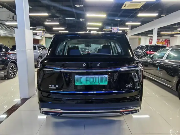 Hongqi HS7 PHEV 2024 Model 2.0T 4WD Flag Enjoy Edition 6 seat – фото 5