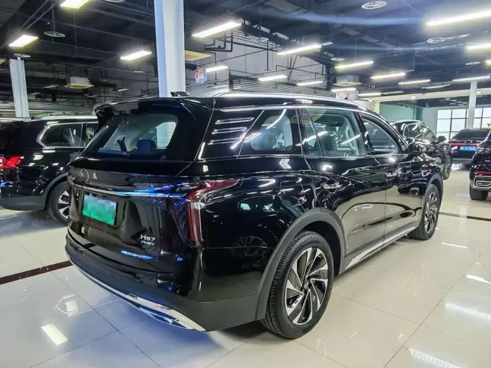 Hongqi HS7 PHEV 2024 Model 2.0T 4WD Flag Enjoy Edition 6 seat – фото 6