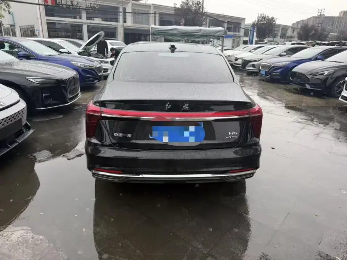 Hongqi H5 2024 Model 2.0T Automatic Smart Flag Enjoy Edition – фото 5