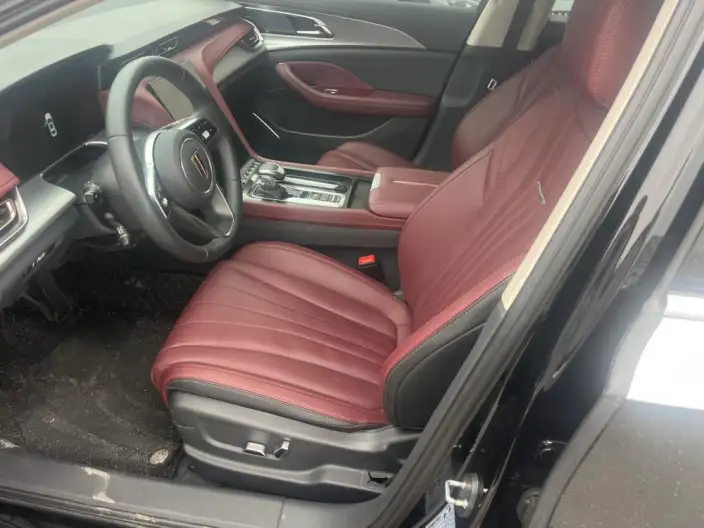 Hongqi H5 2024 Model 2.0T Automatic Smart Flag Enjoy Edition – фото 8