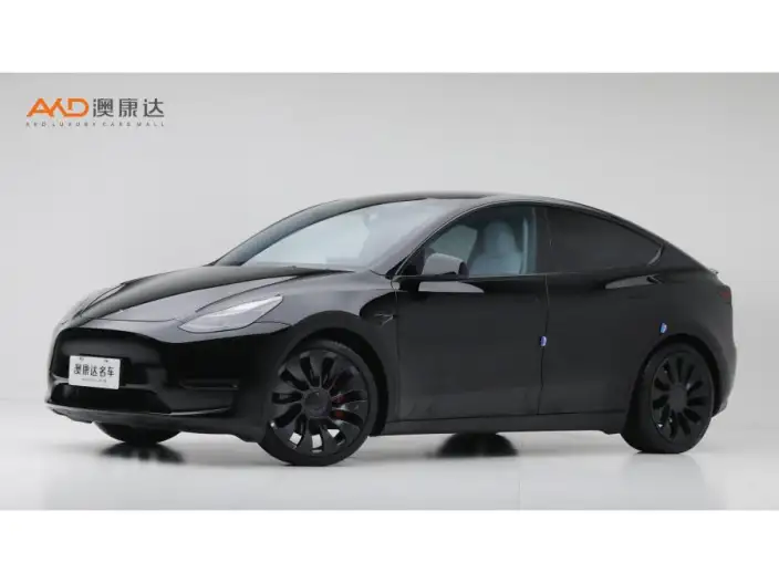 Model Y 2022 Model Performance High performance All-wheel drive version