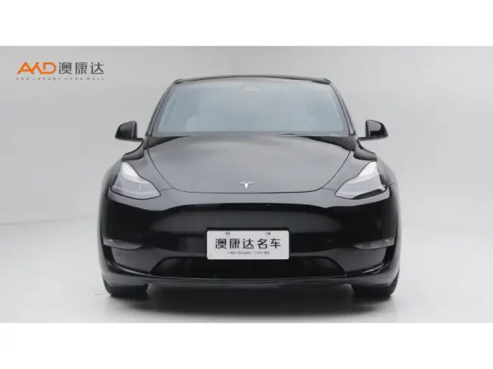 Model Y 2022 Model Performance High performance All-wheel drive version