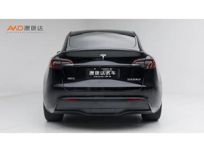 Model Y 2022 Model Performance High performance All-wheel drive version