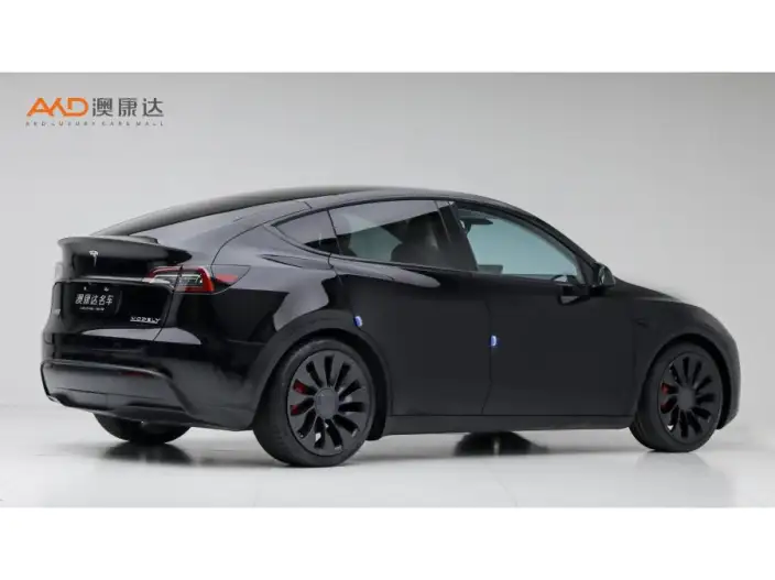 Model Y 2022 Model Performance High performance All-wheel drive version