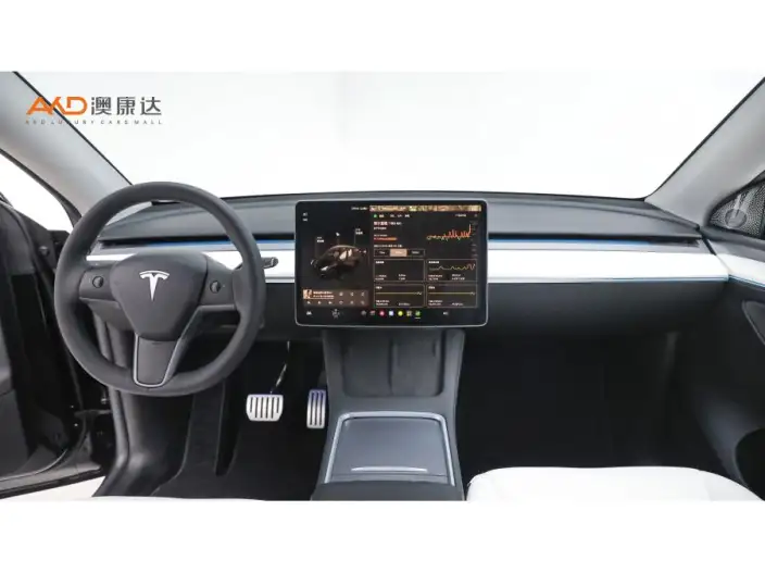 Model Y 2022 Model Performance High performance All-wheel drive version – фото 7
