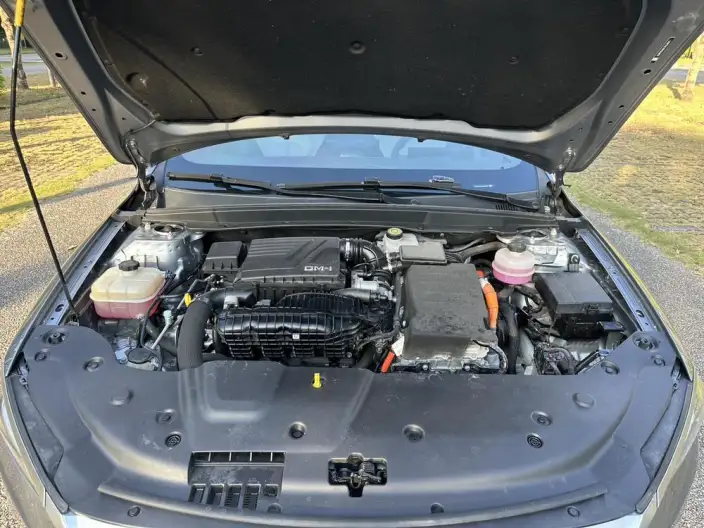 BYD Qin PLUS DM 2023 Model DM-i Champion Edition 55KM Leading Model – фото 9