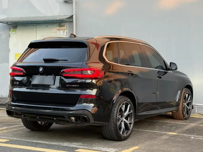 BMW X5 2022 Model Facelift xDrive 40Li M Sports Set – фото 7