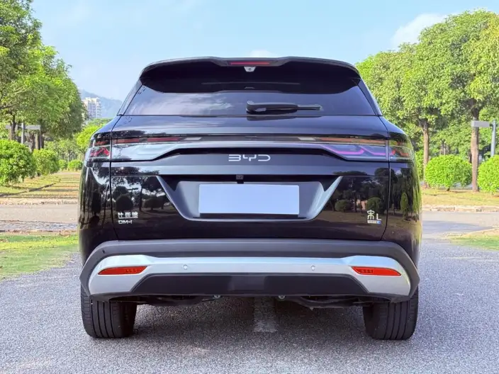 Song L DM 2025 Model Smart Driving Edition DM-i 112KM Leading Model – фото 6
