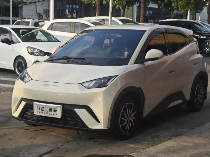 BYD Seagull 2023 Model Vitality Edition – фото 1