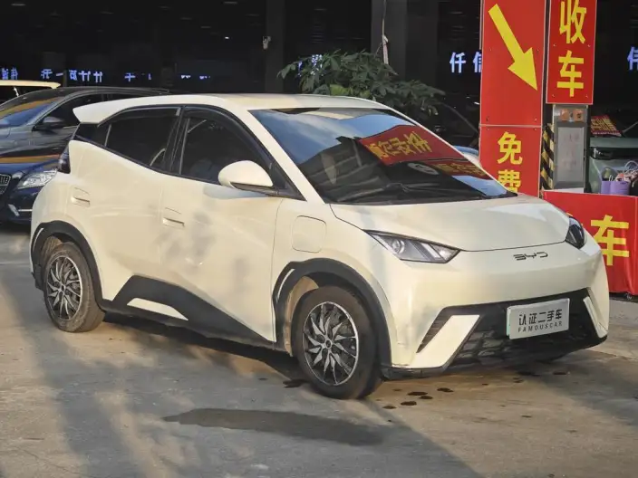 BYD Seagull 2023 Model Vitality Edition – фото 3