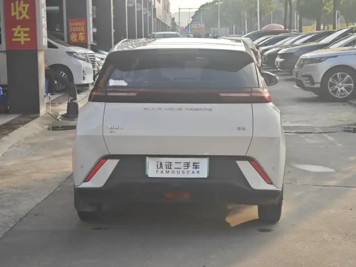 BYD Seagull 2023 Model Vitality Edition – фото 5