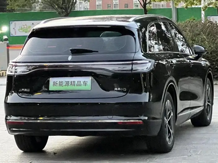 Sangyuan H5 2025 Model Extended Range Max