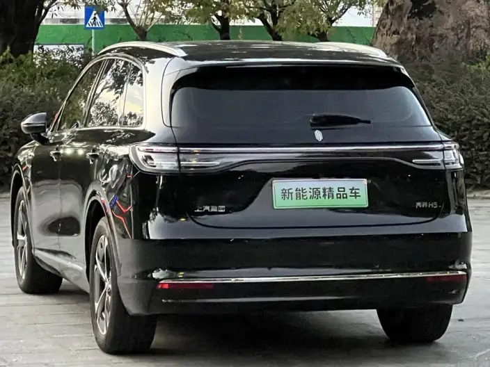 Sangyuan H5 2025 Model Extended Range Max – фото 7