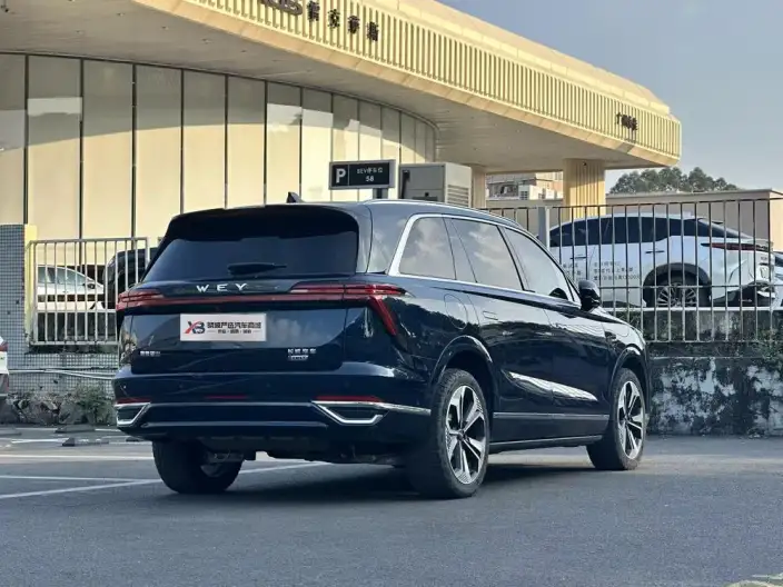 Wey Blue Mountain 2023 Model 4WD Ultra-long Endurance – фото 5
