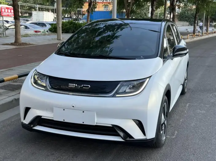 BYD Dolphin 2023 Model Fashion Edition