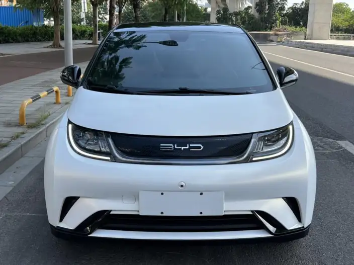 BYD Dolphin 2023 Model Fashion Edition