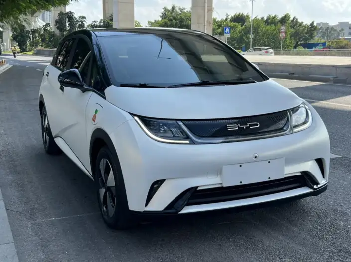 BYD Dolphin 2023 Model Fashion Edition