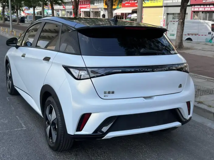 BYD Dolphin 2023 Model Fashion Edition